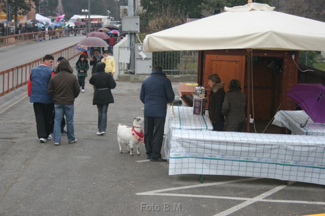 Carnevale 2011 (14).JPG